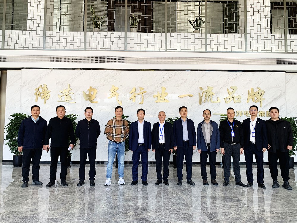 保定市滿城區(qū)政府考察團(tuán)走進(jìn)南洋電氣集團(tuán) --共繪電力電氣產(chǎn)業(yè)協(xié)同發(fā)展新藍(lán)圖